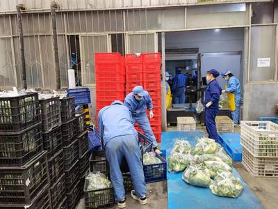 江苏省农展中心首批2万份蔬菜包驰援上海